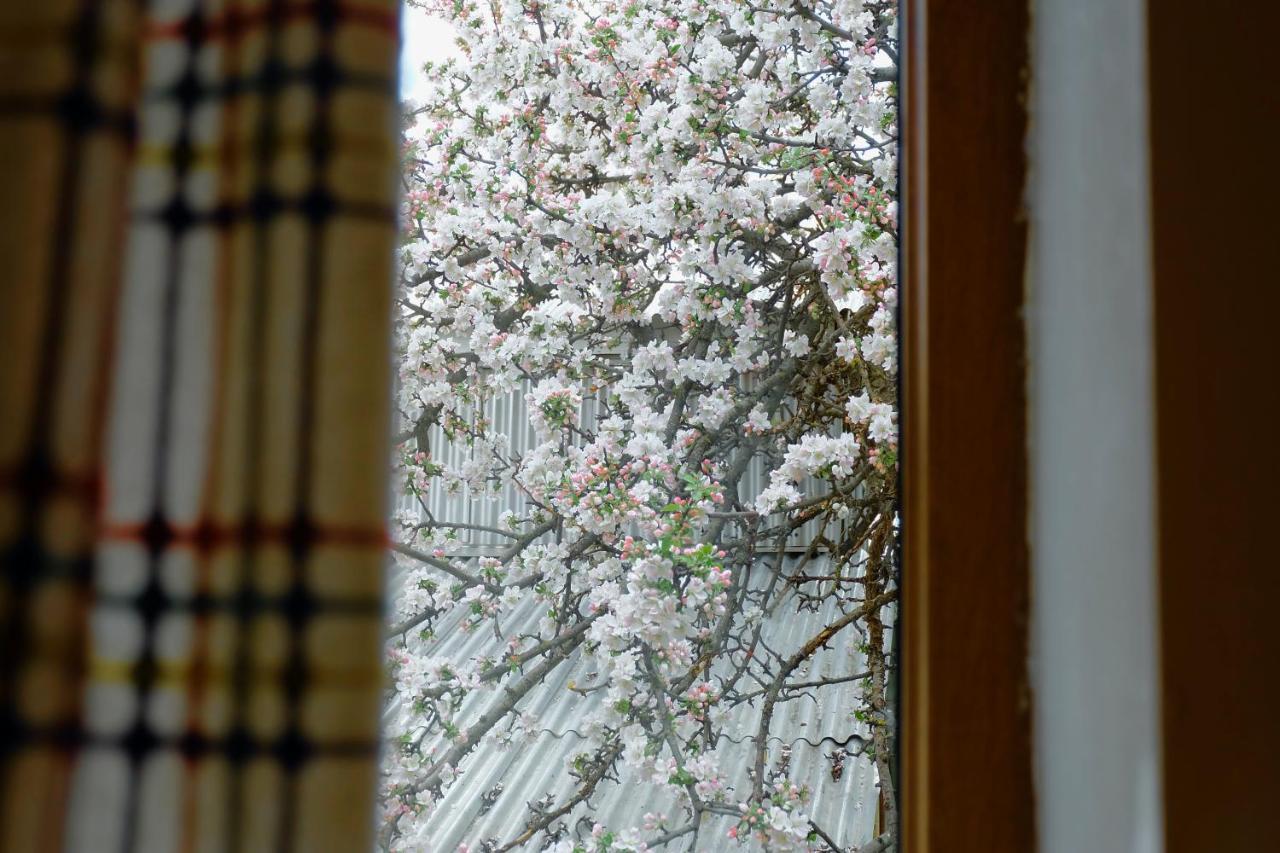Bed and Breakfast Dil Hill By Sam Dilidschan Exterior foto