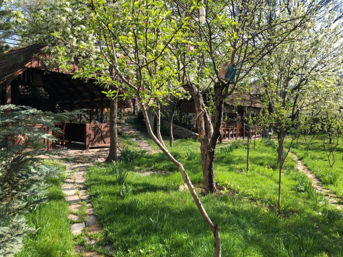 Bed and Breakfast Dil Hill By Sam Dilidschan Exterior foto