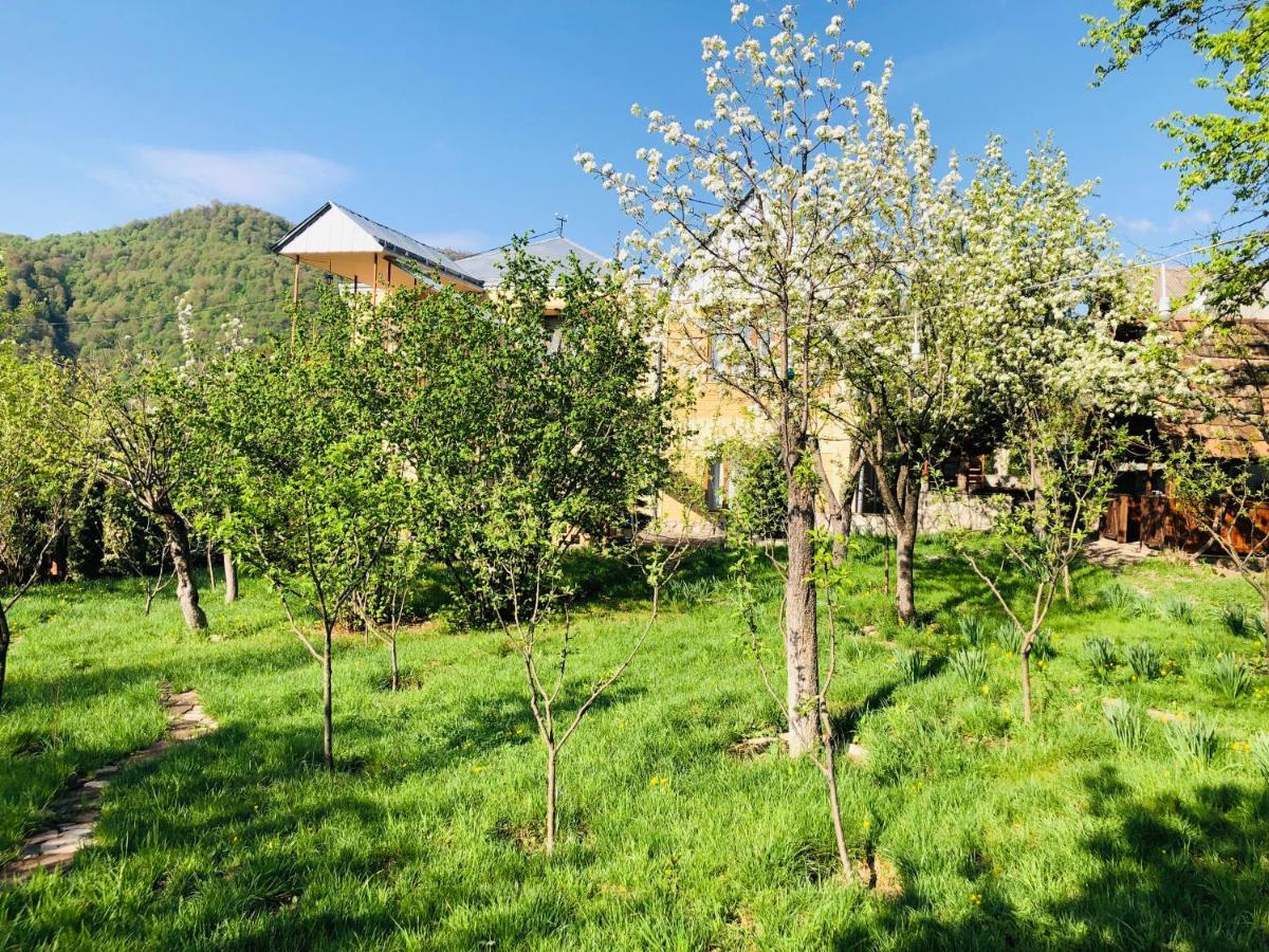 Bed and Breakfast Dil Hill By Sam Dilidschan Exterior foto